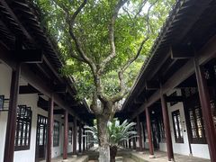 -茶颜悦色(岳麓山顶店)