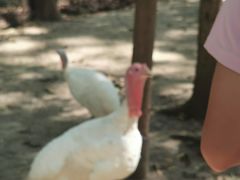 -昆山城市生态森林公园