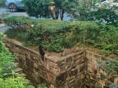 -松兰山海景大酒店·海鲜中餐厅