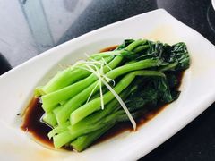 -云中小雅