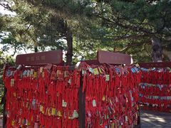 -香山公园