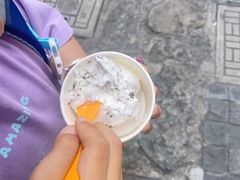 -iceason爱茜茜里·意大利健康冰淇淋(骑龙巷店)