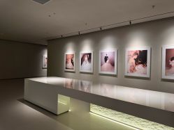 -太郎花子婚纱摄影TAHAKO(无锡店)