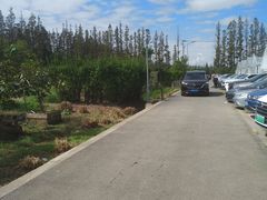 -前小桔亲子创意农场·草莓采摘·露营烧烤