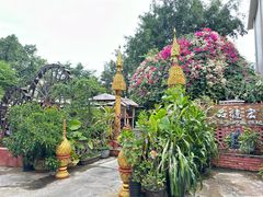 -品德宏·孔雀宴的发源地(金塔园店)