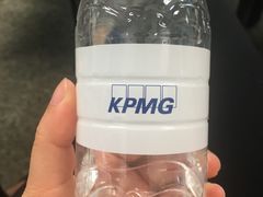 -毕马威华振会计师事务所(上海分所)