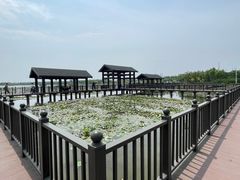 -天津东丽湖风景区