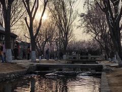 -三里河公园