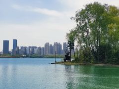 -天鹅湖体育公园
