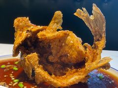 糖醋黄河鲤鱼-梅飞酒家(名辉豪庭店)