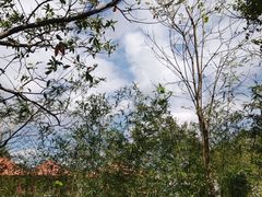 -罗浮山·罗园农庄