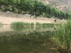 -白河湾生态旅游一条川