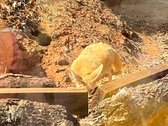 -昆明动物园