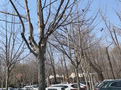 -秦皇岛野生动物园