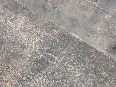 -高胖妹面庄(黄河道店)