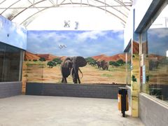 -西安秦岭野生动物园