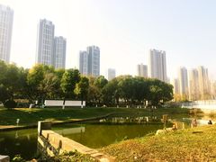 -汉水公园