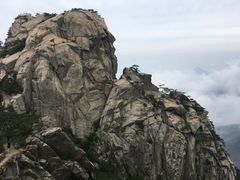 -罗田天堂寨风景区