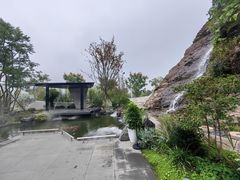 -雅苑中餐厅