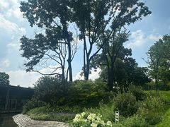 -云溪植物园