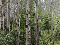 -长春市南湖公园