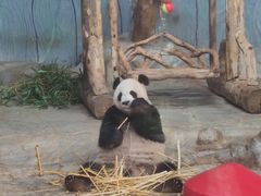 -海南热带野生动植物园