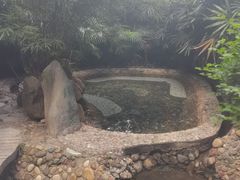 -天赐温泉