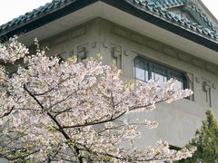 -武汉大学-樱园