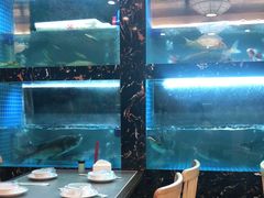 水产区-浔味·山屿湖·正宗淳牌全鱼宴老字号
