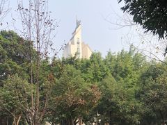 -大渡口区义渡公园