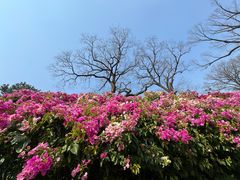 -红螺寺