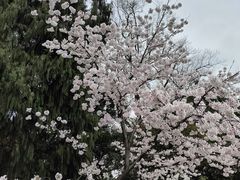 -中山公园