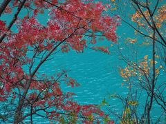 -叠溪松坪沟景区