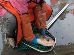 -南京金牛湖风景区