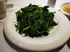 清炒豆尖儿-峨嵋酒家总店(车公庄店)