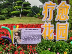 -南宁南湖公园