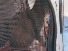 -美联众合动物医院·24h京西诊疗中心