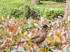 -木塔寺遗址生态公园