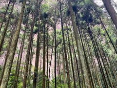 -雁荡山大龙湫景区