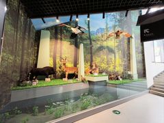 -房山世界地质公园博物馆