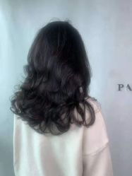 -潘多拉Hairsalon