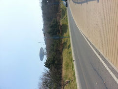 android_upload_pic-童牛岭风景区