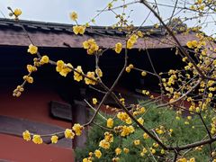-钱王祠
