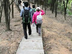 -火炉山森林公园