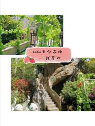 点击看大图 -可可天空农场(中大店)