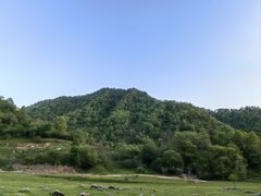 -狮子沟牧场