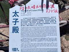 -芦芽山旅游度假区