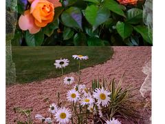 -陆家嘴中心绿地