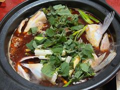 -老杨砂锅鱼庄