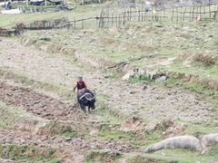 -大姆山草场